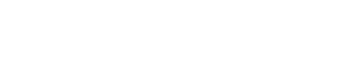 Vega Financial